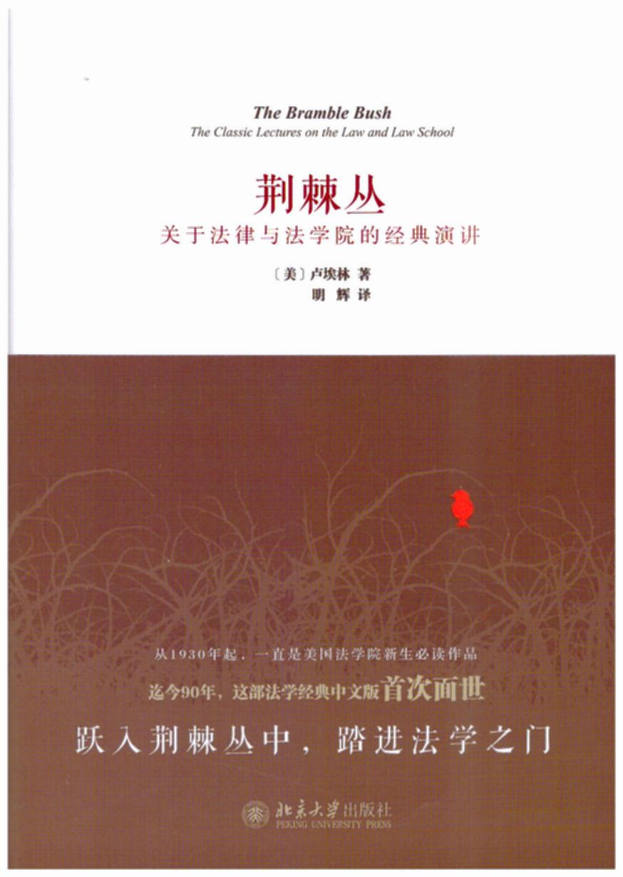 荊棘叢:關于法律與法學院的經典演講